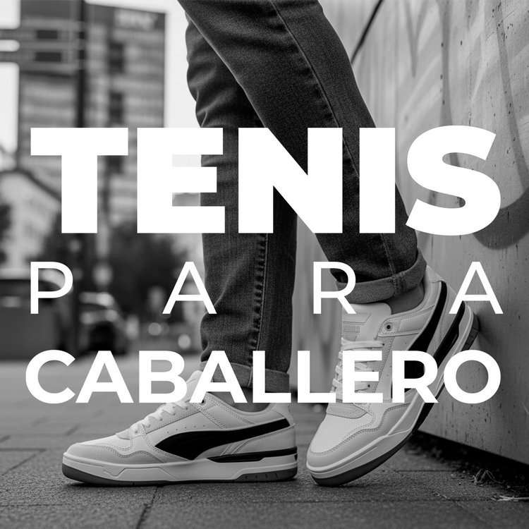 TENIS CABALLERO
